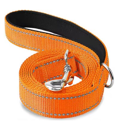 Pet & Rural Supply Co Dog/Cat Lead