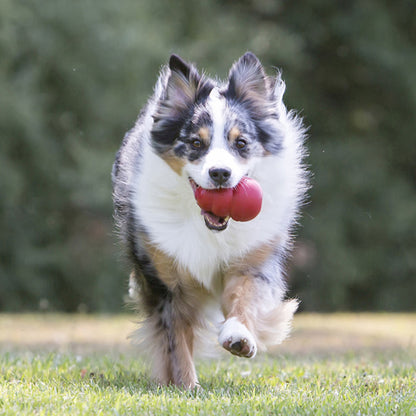 KONG Dog Classic Small