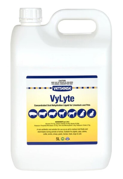 Vetsense Vylyte oral rehydration liquid 5 lt