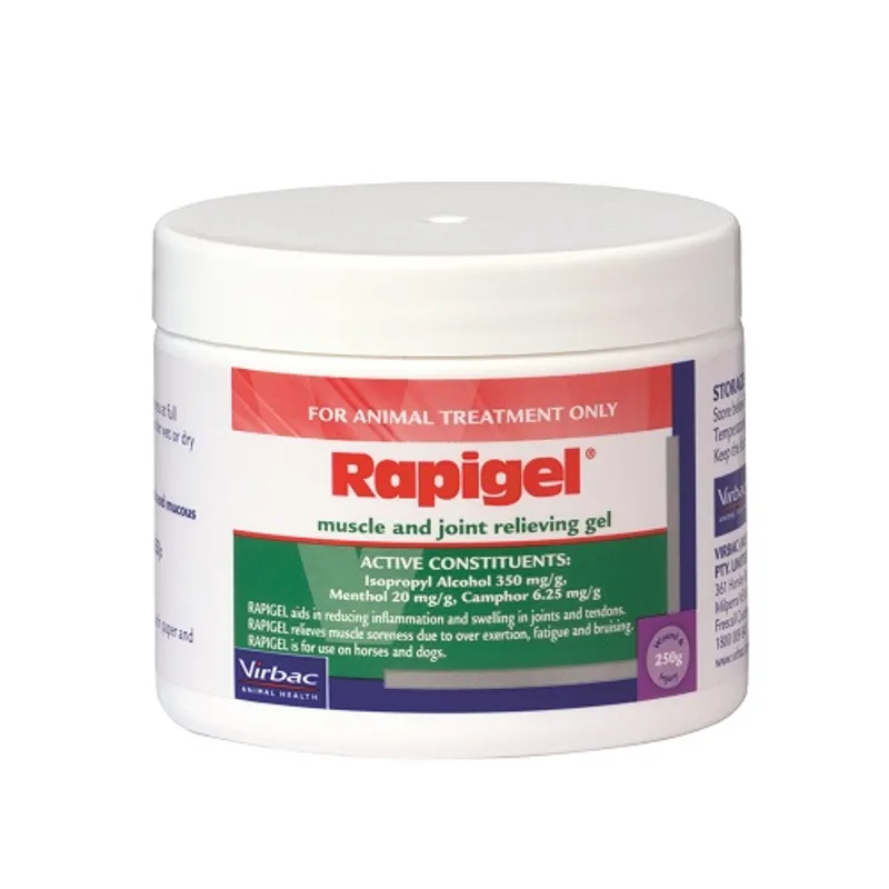 Rapigel Muscle & Joint Gel for Dogs & Horses 250g by Virbac