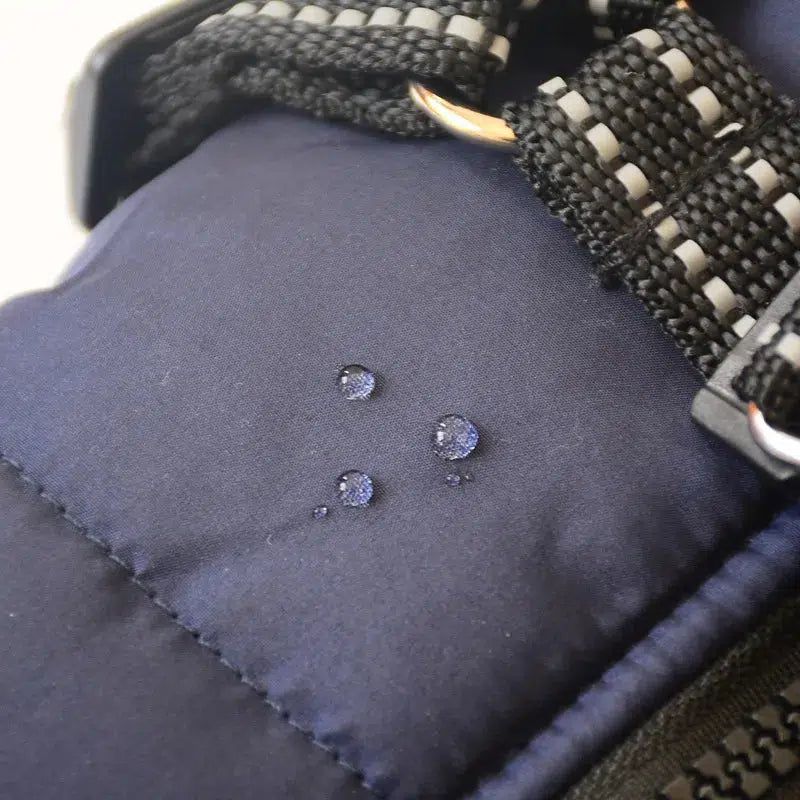 Waterproof Dog Jacket With Harness