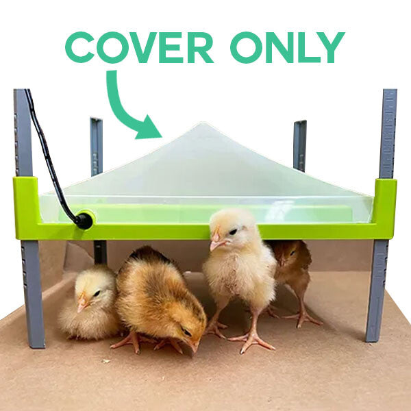 Bainbridge chick heating plate cover