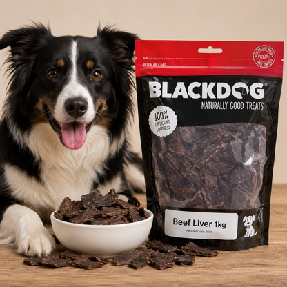 Dog enjoying Blackdog Beef Liver natural Australian dog treats during reward time