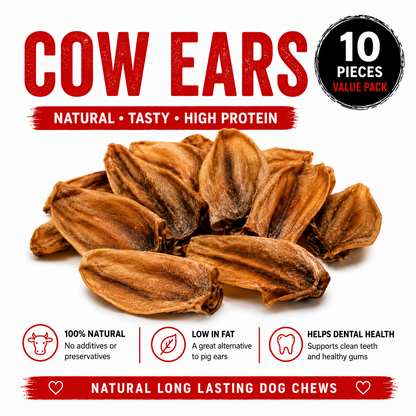 Blackdog Cow Ears 10 Pack showing all 10 natural cow ears included