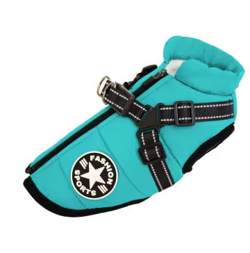 blue dog jacket