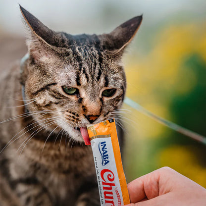 2 x INABA CHURU PUREE TUNA Varieties (CAT TREAT) 50x14g