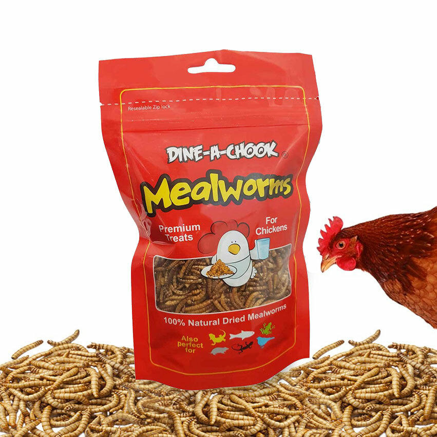 Dried Mealworms 80g