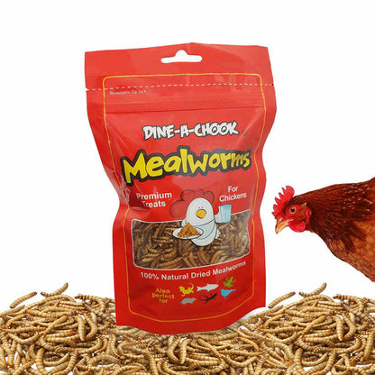 Dried Mealworms 80g