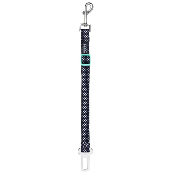 Car Restraint Bolts DOOG