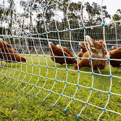 Bainbridge Premium Electric Poultry Netting 108cm x 50m for chickens
