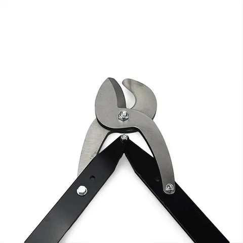 Bainbridge Dominion Size 3 horn tipper cutting head close up