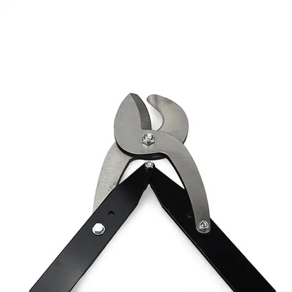 Bainbridge Dominion Size 3 horn tipper cutting head close up