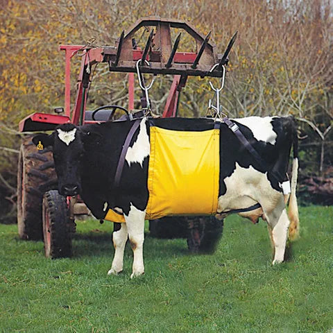 Bainbridge Supreme Cow Lifter sling supporting a dairy cow