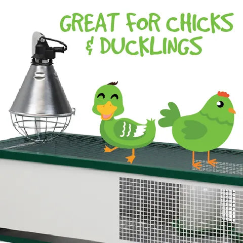 Bainbridge Metal Chick Brooding Cage – Rectangular