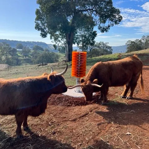 Bainbridge Cattle Scratch Brush Totem