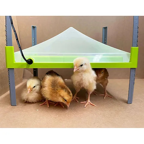 Bainbridge Chick Heating Plate – Adjustable Brooder Heater