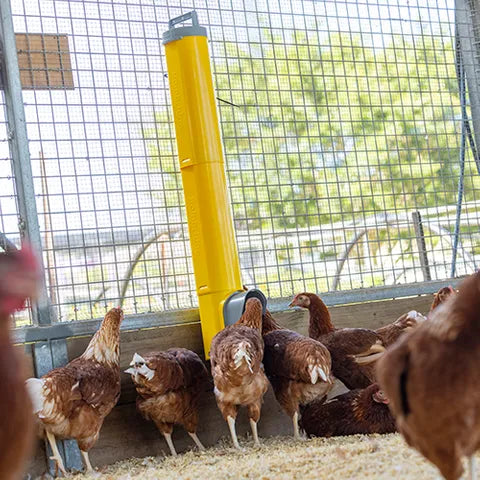 Bainbridge Chook Tower chicken feeder extension tube