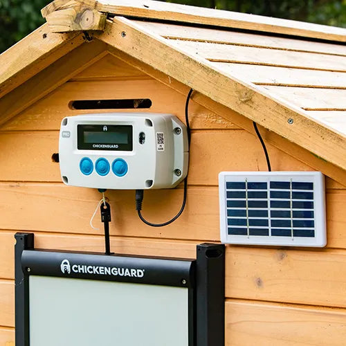 ChickenGuard Pro automatic coop door installed on chicken house