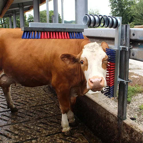 Happy Cow Scratch Brush – Cattle, Calf & Horse Grooming Brush