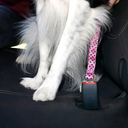 Car Restraint Bolts DOOG