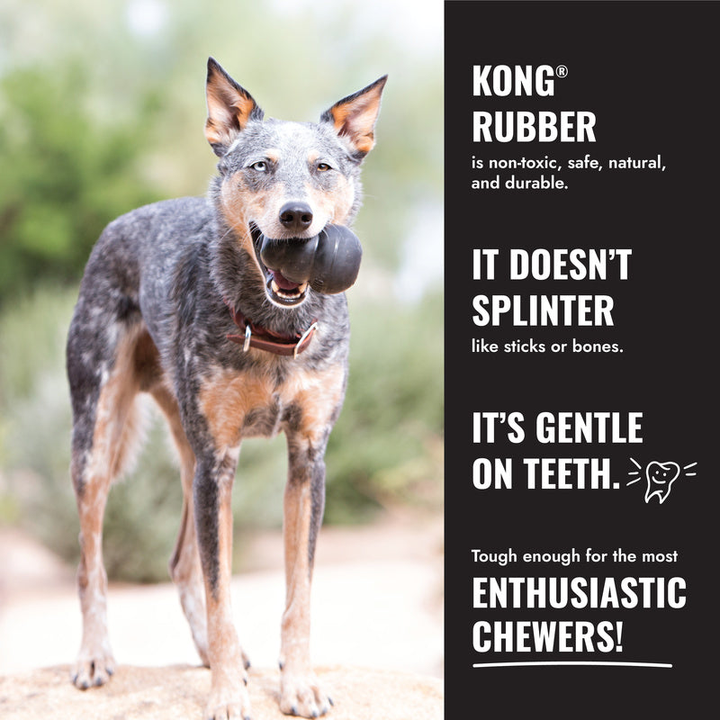Dog with a KONG rubber toy outdoors, featuring KONG product information on the right.