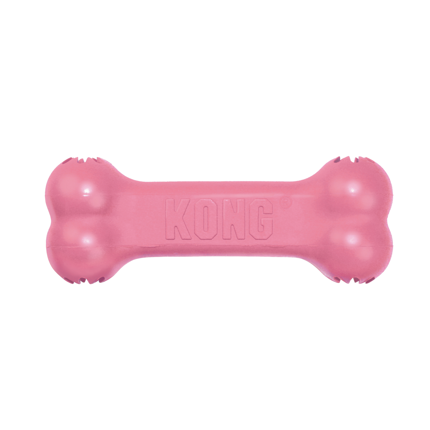 KONG Puppy Goodie Bone for teething puppies
