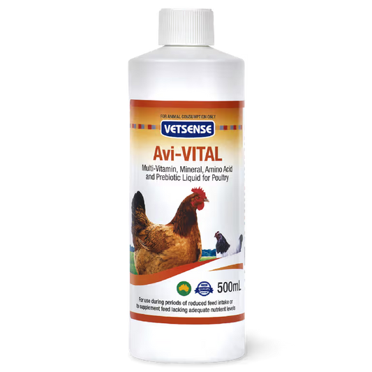 Vetsense Avi-VITAL 500mL liquid vitamin supplement for backyard chickens laying hens and birds